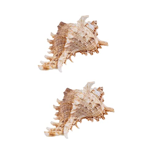 RORPOIR Aquarium Landschaftsbau 2 Stücke Natürliche Conch Shell Verzierungen Aquarium Zubehör Dekorationen von RORPOIR