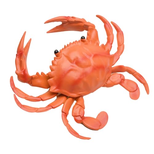 RORPOIR 2St Simulation Krabbe Meerestiermodell Früherziehungsspielzeug kreativität kreativekraft Kinderspielzeug Spielzeuge gefälschter Hummer Kinder quietschendes Spielzeug weiches Gummi von RORPOIR