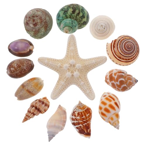 RORPOIR Exquisites 13-teiliges Muscheldekor-Set Dekorationen Für Aquarien Mit Küstenmotiven von RORPOIR