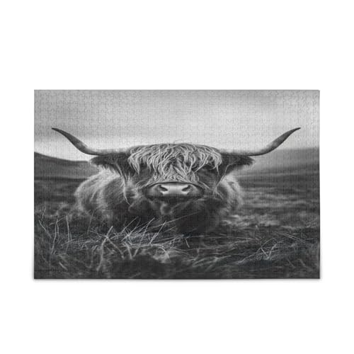Highland Cow Wild Adult Puzzles Lustige Puzzles 500 Teile Puzzle für Familie 50,5 × 37,8 cm Highland Cow Wild Adult Puzzles Lustige Puzzles 500 Teile Puzzle für Familie 50,5 × 37,8 cm von RPLIFE