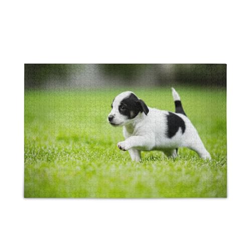 Kleine weiße und schwarze Welpe Erwachsene Holzpuzzles Einzigartige Puzzles 500 Teile Puzzle für Erwachsene 50,5 × 37,8 cm Kleine weiße und schwarze Welpe Erwachsene Holzpuzzles Einzigartige Puzzles 500 Teile Puzzle für Erwachsene 50,5 × 37,8 cm von RPLIFE