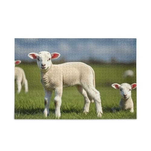 Niedliche Lämmer-Wiesen-Holzpuzzles, 500-teiliges Puzzle, 500 x 37 cm Niedliche Lämmer-Wiesen-Holzpuzzles, 500-teiliges Puzzle, 500 x 37 cm von RPLIFE
