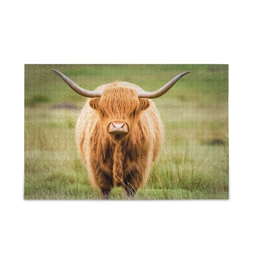 Niedliches Hochlandkuh-Puzzle, hübsche Puzzles, 1000 Teile, Puzzle für Familie, 74 x 70 cm von RPLIFE