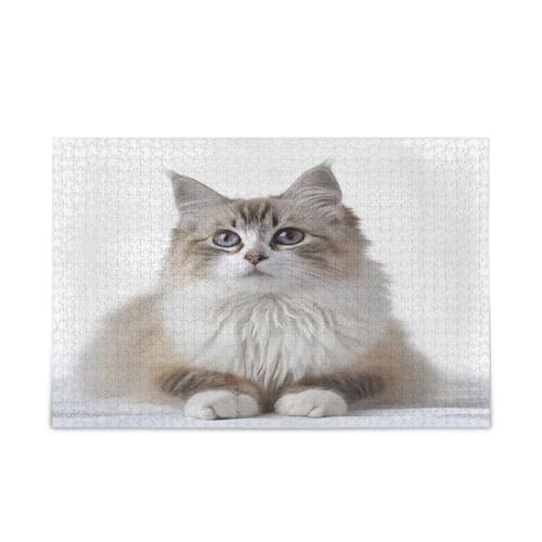 Pet Print Langhaarige Katze Erwachsene Puzzles Holzpuzzle für Erwachsene 500 Teile Puzzle für Familie 20,5 × 14,22,9 cm Pet Print Langhaarige Katze Erwachsene Puzzles Holzpuzzle für Erwachsene 500 Teile Puzzle für Familie 20,5 × 14,22,9 cm von RPLIFE