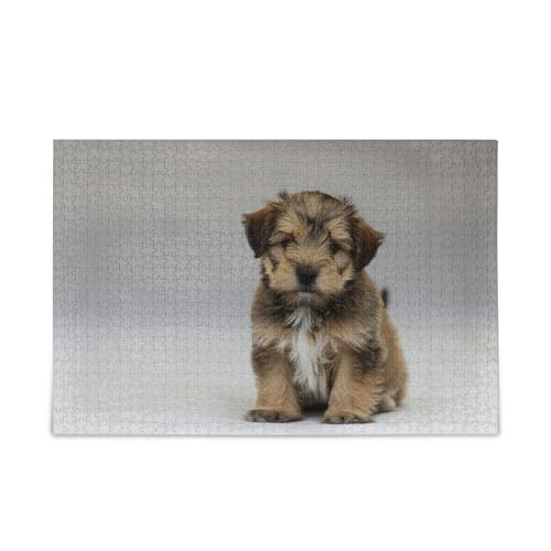 Small Terrier Welpe, Hellgrau, Erwachsenenpuzzle, einzigartige Puzzles für Erwachsene, 1000 Teile, Puzzle für Erwachsene, 74 x 70 cm von RPLIFE