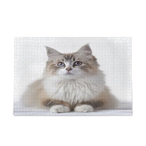 Weißes Holz-Puzzle mit Haustierdruck, langhaarige Katze, einzigartiges Puzzle, 1000 Teile, Puzzle für Erwachsene, 74 x 50 cm Weißes Holz-Puzzle mit Haustierdruck, langhaarige Katze, einzigartiges Puzzle, 1000 Teile, Puzzle für Erwachsene, 74 x 50 cm von RPLIFE