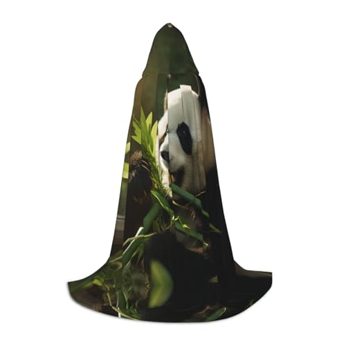 EIN schwarzer umhang! Einen Delphin Spielen Halloween Kapuzenumhang - Zauberer Tunika Kapuzenrobe Halloween Umhang Cosplay Kostüme(Panda Eating Bamboo,S) von RPXHZLKTM
