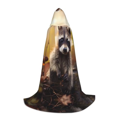 EIN schwarzer umhang! Niedlicher Waschbär-Halloween-Kapuzenumhang – Zauberer-Tunika mit Kapuze, Umhang for Halloween, Cosplay-Kostüme(Cute Raccoon,M) von RPXHZLKTM