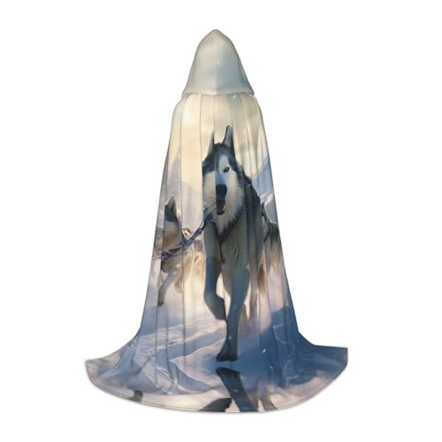 EIN schwarzer umhang! Weltraumlandschaft Halloween Kapuzenumhang - Zauberertunika Kapuzenrobe Halloweenumhang Cosplay Kostüme(Sled Dog,M) von RPXHZLKTM