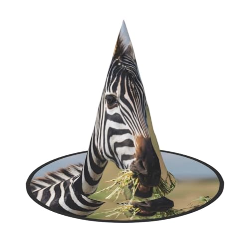 RTCVXZDSA Zebra Halloween Hut - Volldruck-Design, bequemes Oxford-Tuch, faltbar und leicht für Partys und Rollenspiele von RTCVXZDSA