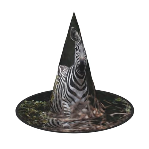 RTCVXZDSA Zebra Halloween Hut - Volldruck-Design, bequemes Oxford-Tuch, faltbar und leicht für Partys und Rollenspiele von RTCVXZDSA