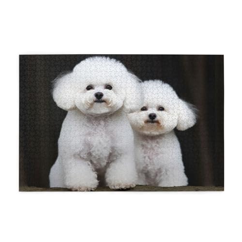 1000-teiliges Puzzle für Erwachsene, herausfordernde Puzzles für Spieleabende, Bichon Frisé, Holzpuzzle, personalisierbar, individuelle Holzpuzzles für Familie, Bildpuzzle, fertige Größe 74,9 x 50 cm von RTSTNMBD