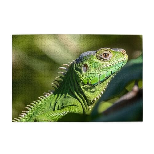 1000-teiliges Puzzle für Erwachsene, herausfordernde Puzzles für Spieleabende, grüne Eidechse, Holzpuzzle, personalisierbar, individuelle Holzpuzzles für Familie, Bildpuzzle, fertige Größe 74,9 x 50 1000-teiliges Puzzle für Erwachsene, herausfordernde Puzzles für Spieleabende, grüne Eidechse, Holzpuzzle, personalisierbar, individuelle Holzpuzzles für Familie, Bildpuzzle, fertige Größe 74,9 x 50 von RTSTNMBD