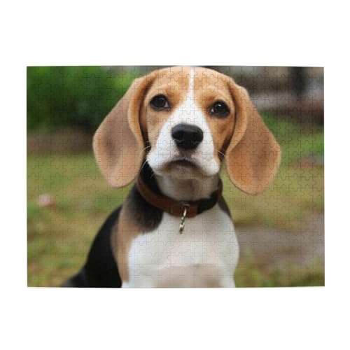 500-teiliges Puzzle für Erwachsene, herausfordernde Puzzles für Spielabende, schöner Hund, Beagl, Holzpuzzle, personalisierbar, individuelle Holzpuzzles für Familie, Bildpuzzle, fertige Größe 51,8 x 500-teiliges Puzzle für Erwachsene, herausfordernde Puzzles für Spielabende, schöner Hund, Beagl, Holzpuzzle, personalisierbar, individuelle Holzpuzzles für Familie, Bildpuzzle, fertige Größe 51,8 x von RTSTNMBD