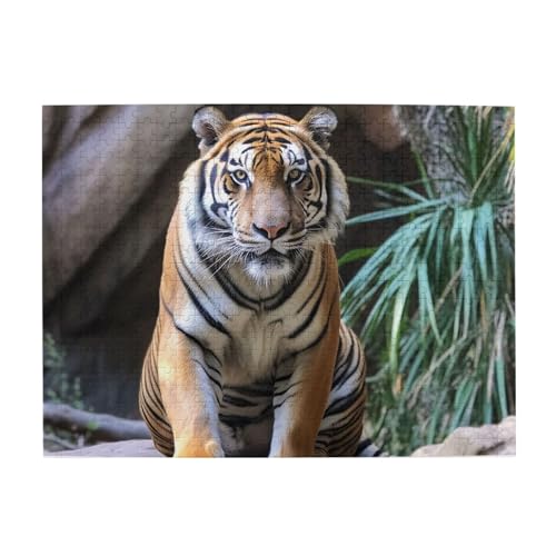500-teiliges Puzzle für Erwachsene, herausfordernde Puzzles für Spieleabende, Tiger im Zoo, Holzpuzzle, personalisierbar, individuelle Holzpuzzles für Familie, Bildpuzzle, fertige Größe 51,8 x 38,1 cm 500-teiliges Puzzle für Erwachsene, herausfordernde Puzzles für Spieleabende, Tiger im Zoo, Holzpuzzle, personalisierbar, individuelle Holzpuzzles für Familie, Bildpuzzle, fertige Größe 51,8 x 38,1 cm von RTSTNMBD