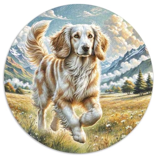 Afghanischer Hund Puzzle 1000 Teile Rund Puzzles Erwachsene Und Kinder Weihnachten Farbverlauf Kreatives Constellation Einzigartige DIY Clevere Rätsel Geschenke 1000pcs (67.5x67.5cm) von RTTASVLZX