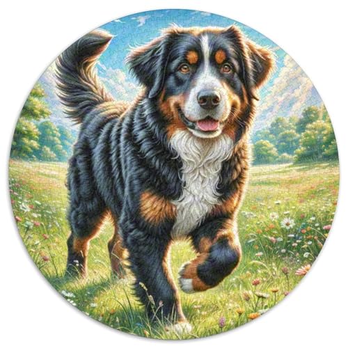 Akita Inu Puzzle 1000 Teile Rund Puzzles Erwachsene Und Kinder Poster Game Abbauen Impossible Stress Stressfreisetzung Anspruchsvoll Kreative 1000pcs (67.5x67.5cm) von RTTASVLZX