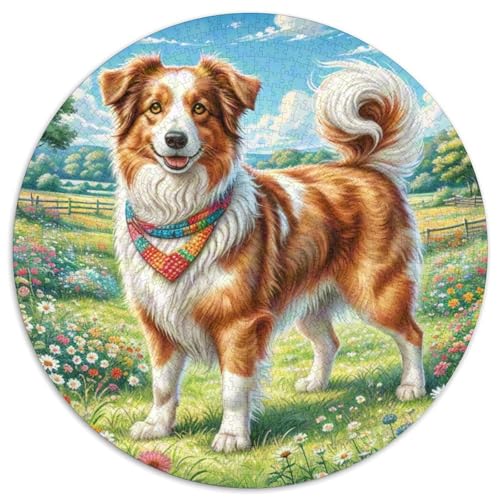 Australischer Schäfer 1000 Stück Puzzle Rund Puzzles Erwachsene Und Kinder Ältere Magischer Lernspiel Rätsel Teiliges Clevere Voller Größe Geschenk 1000pcs (67.5x67.5cm) von RTTASVLZX