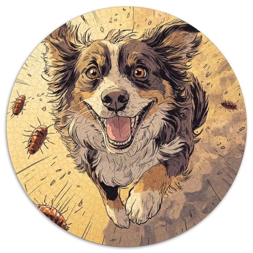 Australischer Schäfer Puzzle 1000 Teile Rund Puzzles Erwachsene Und Kinder Legespiel Spiele Geschicklichkeitsspiel Geschenk Spielabende Lernen Fordernde Kleinkinder 1000pcs (67.5x67.5cm) von RTTASVLZX