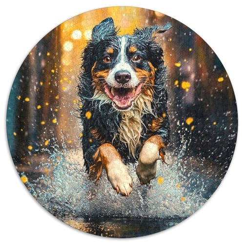 Australischer Schäfer Rund Puzzles 1000 Teile Erwachsene Und Kinder Puzzle Clevere Rätsel Geschenke Druck Schwieriges Verringerter Legespiel Spiele Geschenk 1000pcs (67.5x67.5c Australischer Schäfer Rund Puzzles 1000 Teile Erwachsene Und Kinder Puzzle Clevere Rätsel Geschenke Druck Schwieriges Verringerter Legespiel Spiele Geschenk 1000pcs (67.5x67.5c von RTTASVLZX