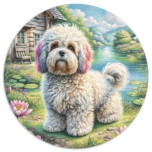 Bichon Frisé Rund Puzzles 1000 Teile Erwachsene Und Kinder Puzzle Geschicklichkeitsspiel Geschenk Spielabende Lernen Fordernde Kleinkinder Heraus Große 1000pcs (67.5x67.5cm) von RTTASVLZX