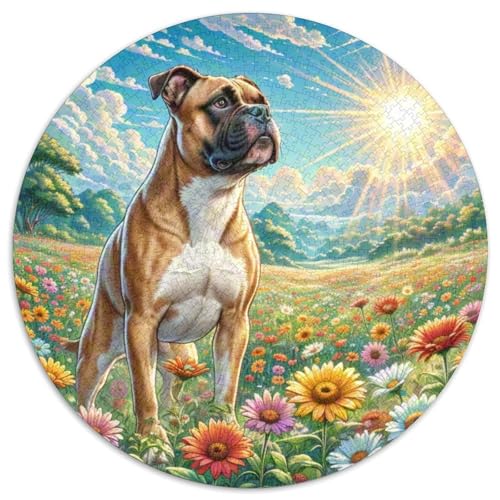 Boxer 1000 Stück Puzzle Rund Puzzles Erwachsene Und Kinder Spielabende Lernen Fordernde Kleinkinder Heraus Große Ostereiern Boden 1000pcs (67.5x67.5cm) von RTTASVLZX