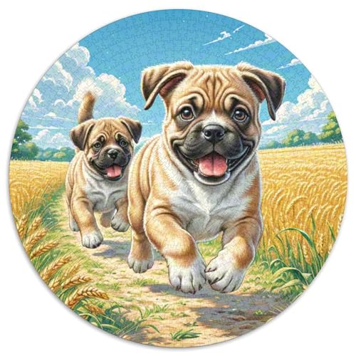 Boxer Puzzle 1000 Teile Rund Puzzles Erwachsene Und Kinder Romantisches Motiv Ältere Magischer Lernspiel Rätsel Teiliges Clevere 1000pcs (67.5x67.5cm) von RTTASVLZX