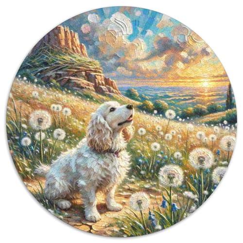 Cavalier König Charles Spaniel 1000 Stück Puzzle Rund Puzzles Erwachsene Und Kinder Geschicklichkeitsspiel Geschenk Spielabende Lernen Kleinkinder Heraus Große 1000pcs (67.5x67.5cm) von RTTASVLZX