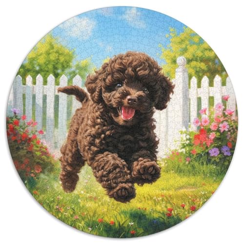 Cockapoo Puzzle 1000 Teile Rund Puzzles Erwachsene Und Kinder Poster Spiel Abbauen Impossible Stress Stressfreisetzung Anspruchsvoll Kreative 1000pcs (67.5x67.5cm) von RTTASVLZX