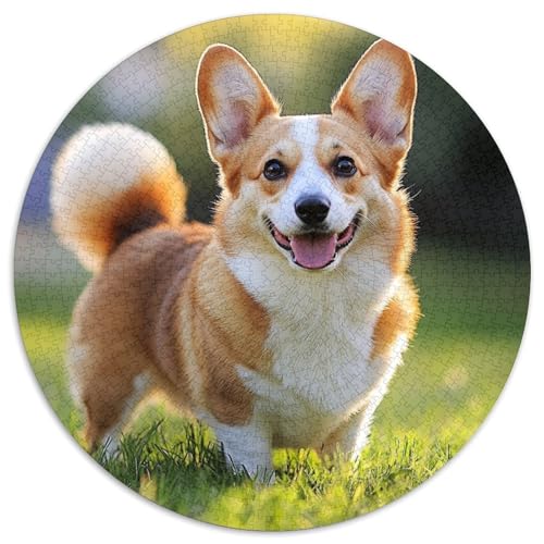 Corgi Puzzle 1000 Teile Rund Puzzles Erwachsene Und Kinder Lernspiel Rätsel Teiliges Clevere Voller Größe Geschenk Poster Spiel 1000pcs (67.5x67.5cm) von RTTASVLZX
