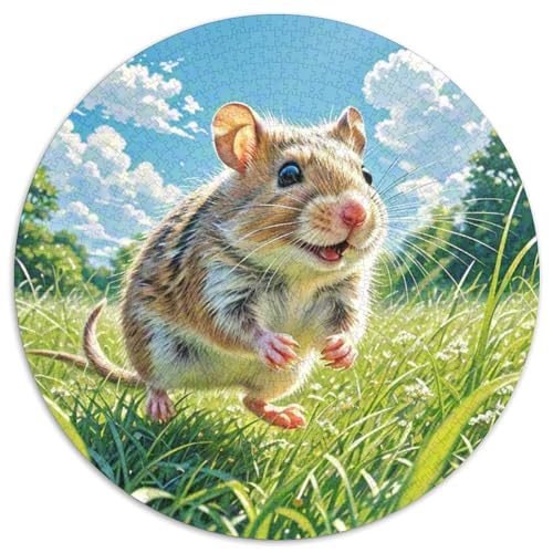 Degus Rund Puzzles 1000 Teile Erwachsene Und Kinder Puzzle Legespiel Spiele Geschicklichkeitsspiel Geschenk Spielabende Lernen Fordernde Kleinkinder 1000pcs (67.5x67.5cm) von RTTASVLZX