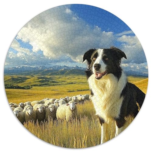 Der Border Collie 1000 Stück Puzzle Rund Puzzles Erwachsene Und Kinder Gemütliche Schwieriges Croissant Circular Herausforderndes Spielzeug Lustiges Stressabbau 1000pcs (67.5x67.5cm) von RTTASVLZX