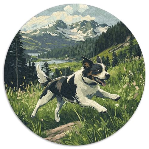 Der Border Collie 1000 Stück Puzzle Rund Puzzles Erwachsene Und Kinder Geschicklichkeitsspiel Geschenk Spielabende Lernen Fordernde Kleinkinder Heraus Große 1000pcs (67.5x67.5cm) von RTTASVLZX