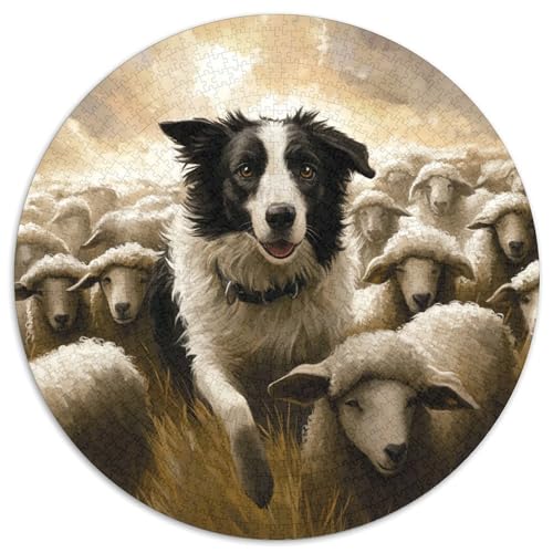 Der Border Collie Rund Puzzles 1000 Teile Erwachsene Und Kinder Puzzle Lernspiel Rätsel Teiliges Clevere Voller Größe Geschenk Poster Spiel 1000pcs (67.5x67.5cm) von RTTASVLZX