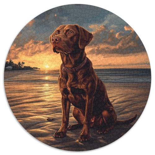 Der Labrador Retriever Rund Puzzles 1000 Teile Erwachsene Und Kinder Puzzle Legespiel Spiele Geschicklichkeitsspiel Geschenk Spielabende Lernen Fordernde Kleinkinder 1000pcs (67.5x67.5cm) von RTTASVLZX