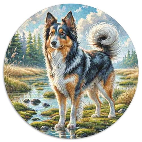 Finnischer Spitz Rund Puzzles 1000 Teile Erwachsene Und Kinder Puzzle Clevere Rätsel Geschenke Druck Schwieriges Verringerter Legespiel Spiele Geschicklichkeitsspiel Geschenk (67.5x67.5cm) von RTTASVLZX