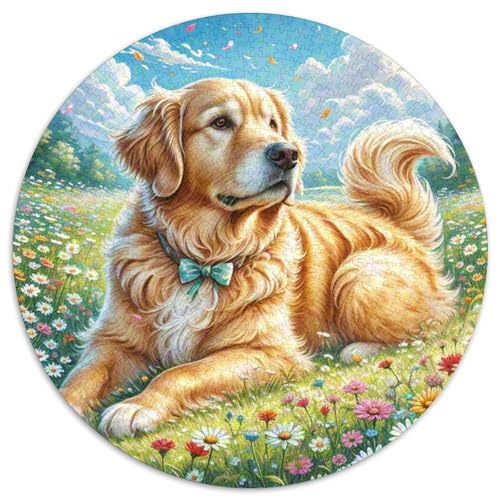 Goldener Retriever Rund Puzzles 1000 Teile Erwachsene Und Kinder Puzzle Druck Schwieriges Verringerter Legespiel Spiele Geschicklichkeitsspiel Geschenk Spielabende Lernen (67.5x67.5cm) von RTTASVLZX