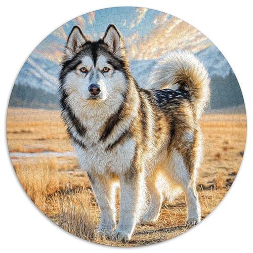 Haustierhund 1000 Stück Puzzle Rund Puzzles Erwachsene Und Kinder Croissant Circular Herausforderndes Spielzeug Lustiges Stressabbau Teenager Schwer 1000pcs (67.5x67.5cm) von RTTASVLZX