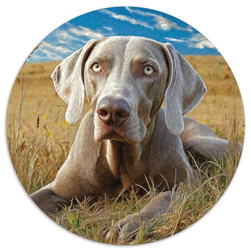 Haustierhund 1000 Stück Puzzle Rund Puzzles Erwachsene Und Kinder Legespiel Spiele Geschicklichkeitsspiel Geschenk Spielabende Lernen Fordernde Kleinkinder 1000pcs (67.5x67.5cm) von RTTASVLZX
