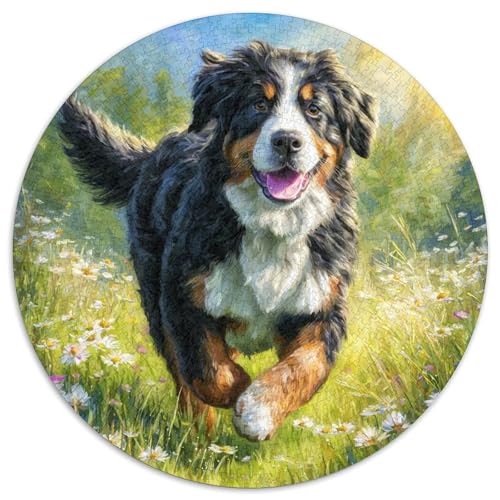 Haustierhund Puzzle 1000 Teile Rund Puzzles Erwachsene Und Kinder Croissant Circular Herausforderndes Spielzeug Lustiges Stressabbau Teenager Schwer 1000pcs (67.5x67.5cm) von RTTASVLZX