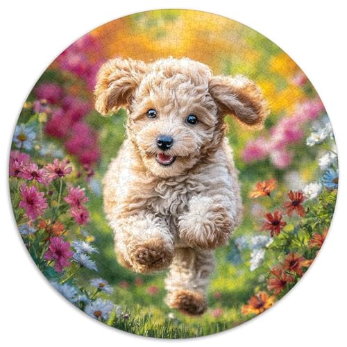 Haustierhund Puzzle 1000 Teile Rund Puzzles Erwachsene Und Kinder Gemütliche Schwieriges Croissant Circular Herausforderndes Spielzeug Lustiges Stressabbau 1000pcs (67.5x67.5cm) von RTTASVLZX