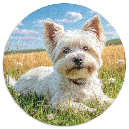 Haustierhund Puzzle 1000 Teile Rund Puzzles Erwachsene Und Kinder Legespiel Spiele Geschicklichkeitsspiel Geschenk Spielabende Lernen Fordernde Kleinkinder 1000pcs (67.5x67.5cm) von RTTASVLZX