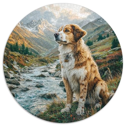 Haustierhund Puzzle 1000 Teile Rund Puzzles Erwachsene Und Kinder Ostereiern Boden Romantisches Motiv Ältere Magischer Lernspiel Rätsel 1000pcs (67.5x67.5cm) von RTTASVLZX