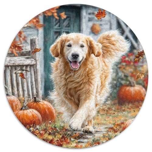 Haustierhund Rund Puzzles 1000 Teile Erwachsene Und Kinder Puzzle Handwerk Großes Gemütliche Schwieriges Croissant Circular Herausforderndes Spielzeug 1000pcs (67.5x67.5cm) von RTTASVLZX