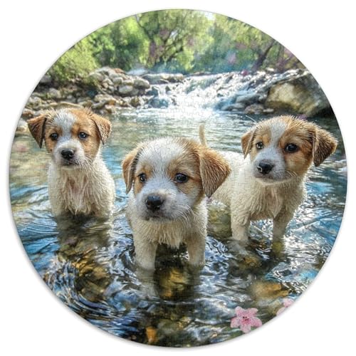 Haustierhund Rund Puzzles 1000 Teile Erwachsene Und Kinder Puzzle Legespiel Spiele Geschicklichkeitsspiel Geschenk Spielabende Lernen Fordernde Kleinkinder 1000pcs (67.5x67.5cm) von RTTASVLZX