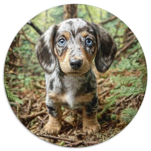 Haustierhund Rund Puzzles 1000 Teile Erwachsene Und Kinder Puzzle Ostereiern Boden Romantisches Motiv Ältere Magischer Lernspiel Rätsel 1000pcs (67.5x67.5cm) von RTTASVLZX