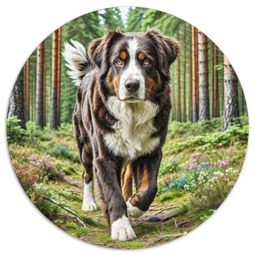 Irish Setzer Rund Puzzles 1000 Teile Erwachsene Und Kinder Puzzle Lernspiel Rätsel Teiliges Clevere Voller Größe Geschenk Poster Game 1000pcs (67.5x67.5cm) von RTTASVLZX
