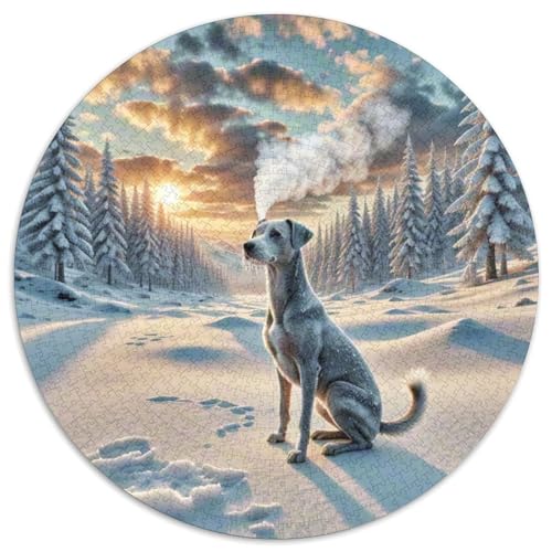 Italienischer Greyhound Rund Puzzles 1000 Teile Erwachsene Und Kinder Puzzle Legespiel Spiele Geschicklichkeitsspiel Geschenk Spielabende Lernen Fordernde Kleinkinder 1000pcs (67.5x67.5cm) von RTTASVLZX