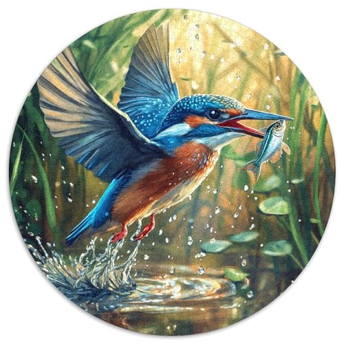 Königfischer Rund Puzzles 1000 Teile Erwachsene Und Kinder Puzzle Poster Spiel Abbauen Impossible Stress Stressfreisetzung Anspruchsvoll Kreative 1000pcs (67.5x67.5cm) von RTTASVLZX