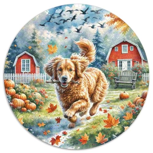 Labradoodle 1000 Stück Puzzle Rund Puzzles Erwachsene Und Kinder Legespiel Spiele Geschicklichkeitsspiel Geschenk Spielabende Lernen Fordernde Kleinkinder 1000pcs (67.5x67.5cm) von RTTASVLZX